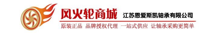 恩愛(ài)斯凱軸承